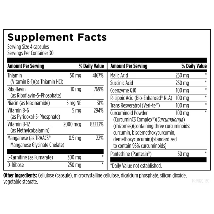 Mitochondrial NRG™ — Designs for Health (120 Capsules) — Dr. Jay Wrigley Functional Medicine